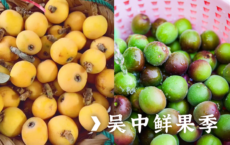 太湖旅游网