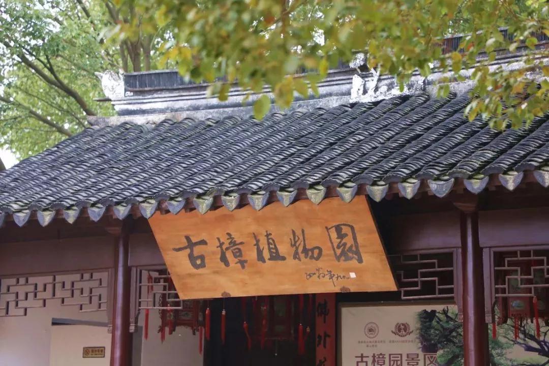 步入冬日，西山岛里这一方盎然绿意令人心醉......