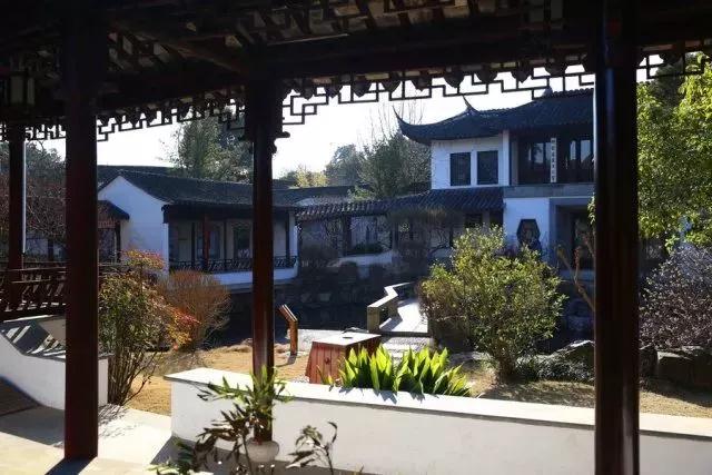 不是自驾游，照样玩转东山！