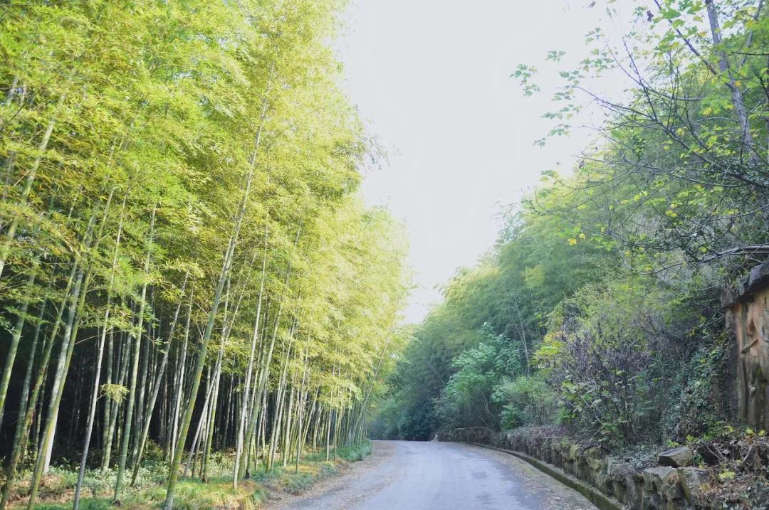古刹觅芳踪，邂逅千百年前遗留的美丽~