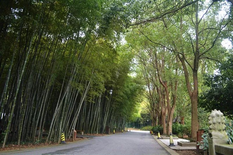 古刹觅芳踪，邂逅千百年前遗留的美丽~