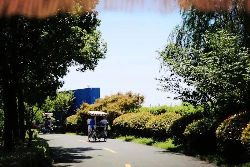 乡村还可以这么美！！春节假期，统统安排！