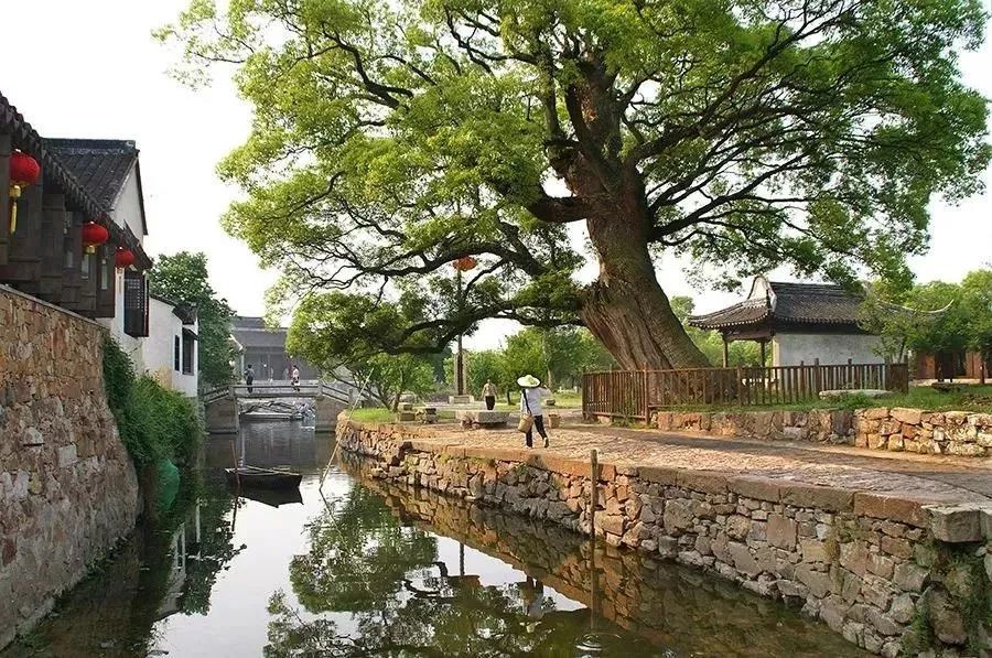 乡村还可以这么美！！春节假期，统统安排！
