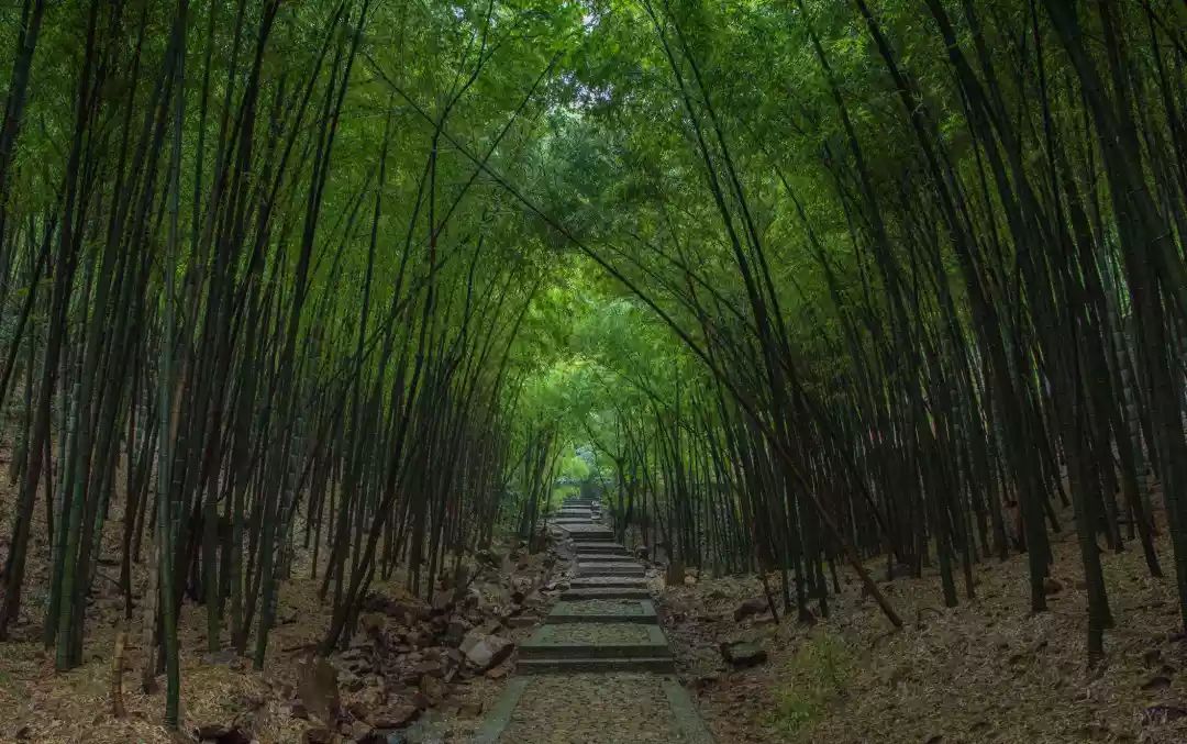 好消息！苏州好行吴中旅游专线车再添新线，乘车去游吴中更方便啦！