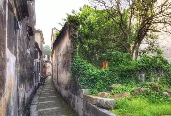 对于西山，我不是归人，是个过客