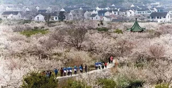 有雨有雪，奈何西山岛诱惑我