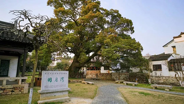 有雨有雪，奈何西山岛诱惑我
