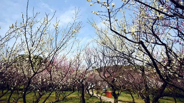 乾隆为什么这么迷恋吴中，除了美食美景还有这个原因！