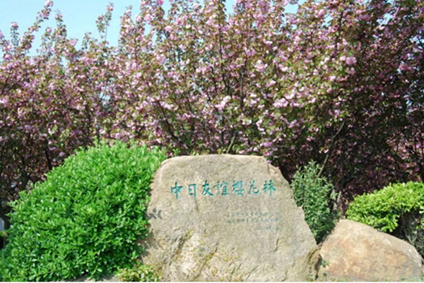 春天在哪里？吴中游玩攻略已就绪，就待春天来