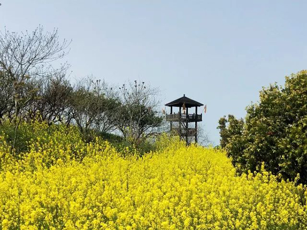 春天在哪里？吴中游玩攻略已就绪，就待春天来