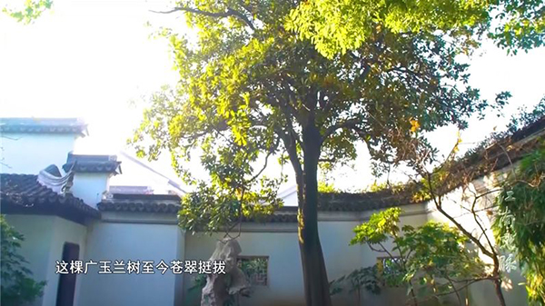 木渎园林上江苏卫视啦！哪个园林这么牛？