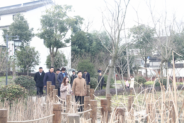 省旅游协会会长张卫国考察临湖镇民宿产业
