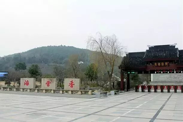 繁花似锦寻春迹，约吗？