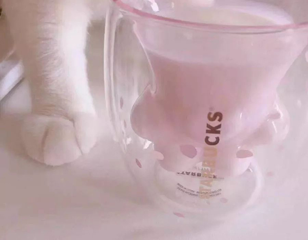 猫爪杯？！不，春天的吴中更有魅力