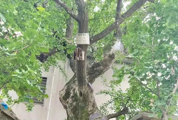 这是什么神仙地方！就想一直住下去