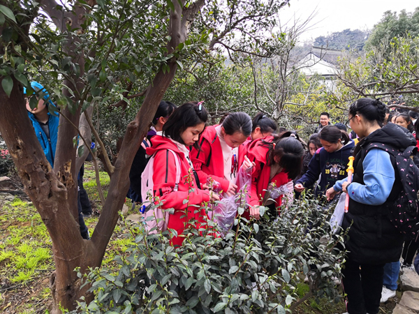 东山雨花胜境积极开展研学游活动