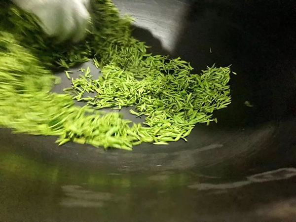 品碧螺春茶香，开启西山寻春之旅