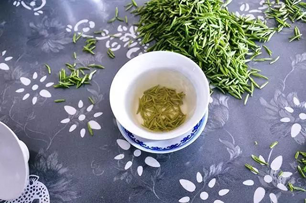 品碧螺春茶香，开启西山寻春之旅