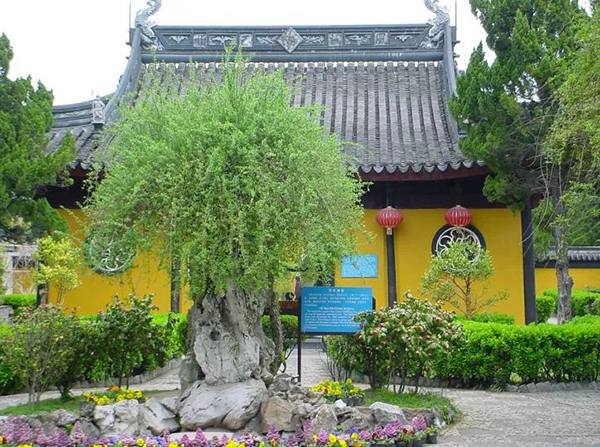 春游甪直，一秒下载浪漫~