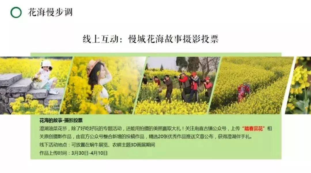 不负百花芳菲日，春日踏青正当时，春游去这些地方就对了！