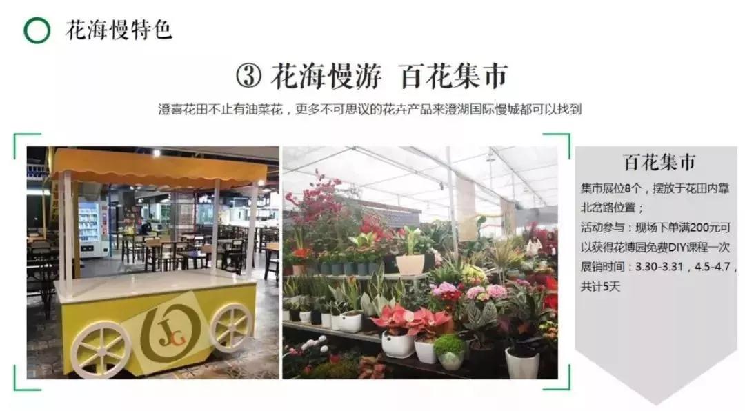 不负百花芳菲日，春日踏青正当时，春游去这些地方就对了！