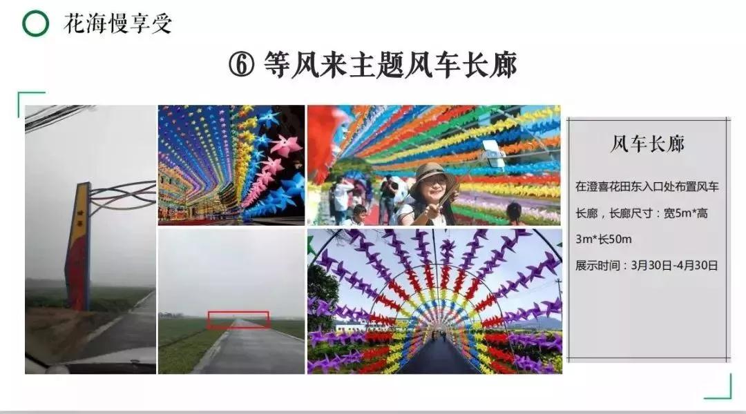 不负百花芳菲日，春日踏青正当时，春游去这些地方就对了！