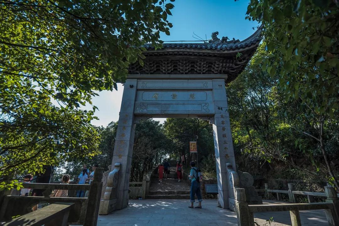 阳春三月去哪里？“都挺好”明玉带你去喝茶，约吗！