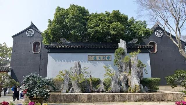 阳春三月去哪里？“都挺好”明玉带你去喝茶，约吗！