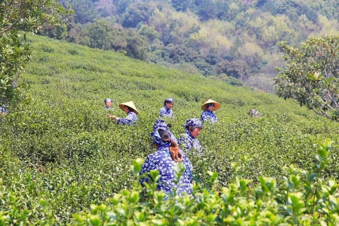 文化西山丨从吃喝到方言 带你领略西山民风民俗掠影