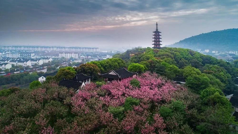 光福有灵，除了“清奇古怪”，邓禹留给我们的还有……