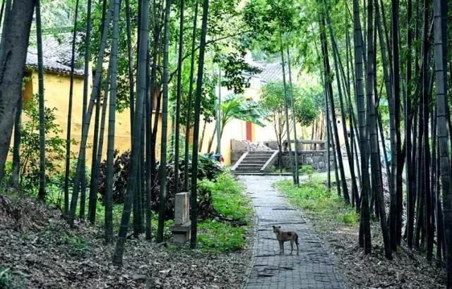 光福有灵，除了“清奇古怪”，邓禹留给我们的还有……