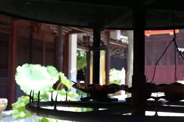 光福有灵，除了“清奇古怪”，邓禹留给我们的还有……