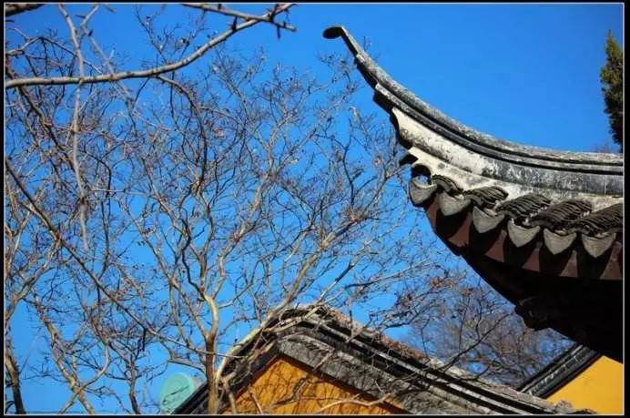 光福有灵，除了“清奇古怪”，邓禹留给我们的还有……