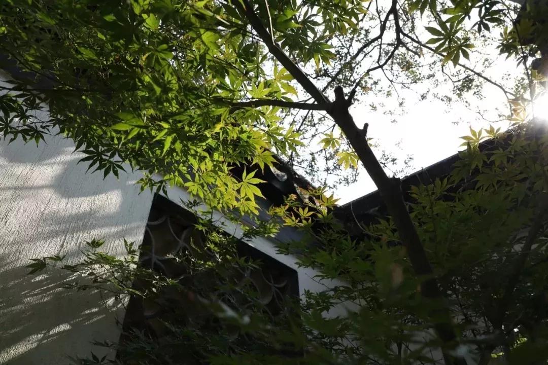 光福有灵，除了“清奇古怪”，邓禹留给我们的还有……