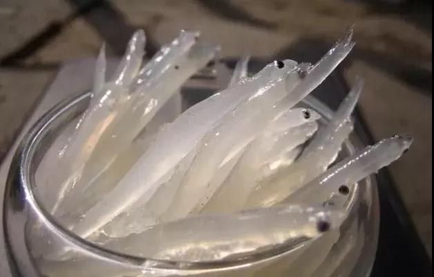 美到惊叹！西施也忘不了这个地方！真想一辈子呆在这里