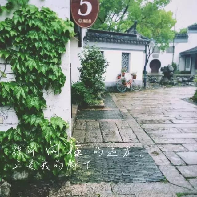 东山雕花楼里孩儿莲花期将尽，邀你来探楼赏花