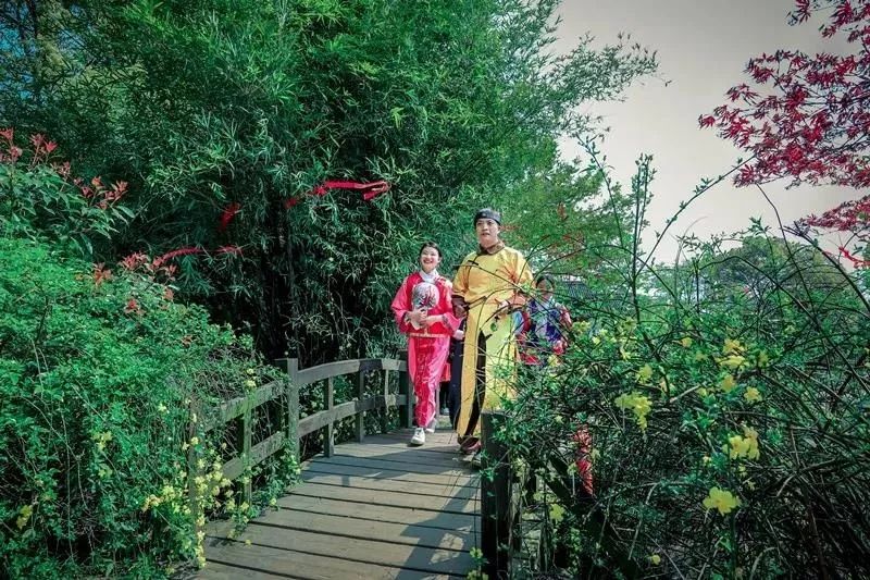 游园赏花探艺寻美味......五一游玩宝鉴等你来查收