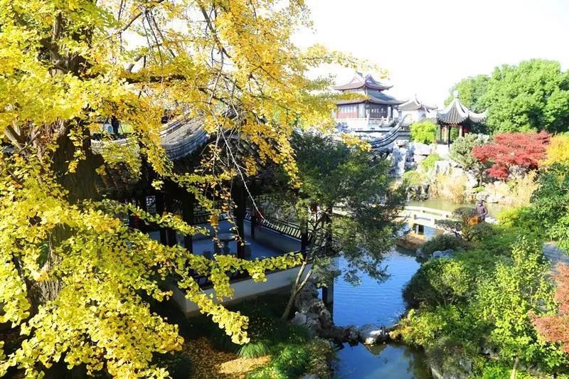 游园赏花探艺寻美味......五一游玩宝鉴等你来查收