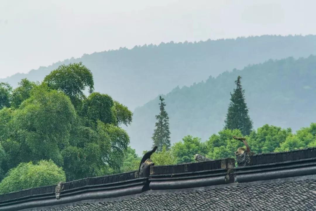 来江苏最美之乡，邂逅一场文化之旅