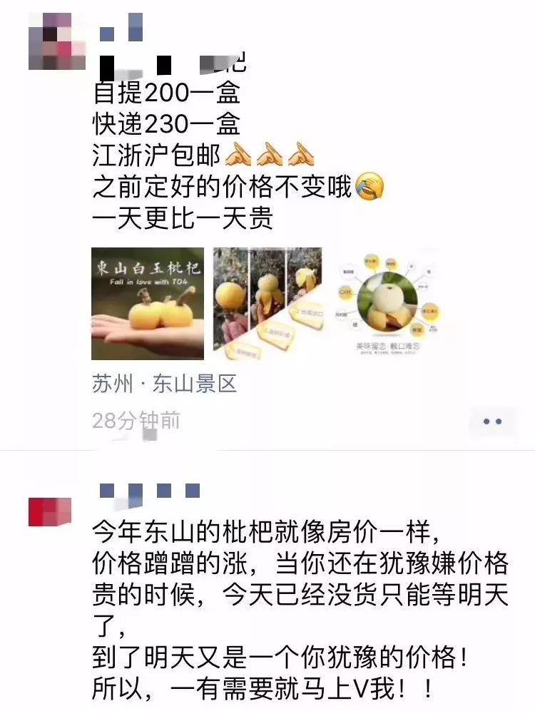 五月到，枇杷黄，东山枇杷采摘游安排上了！