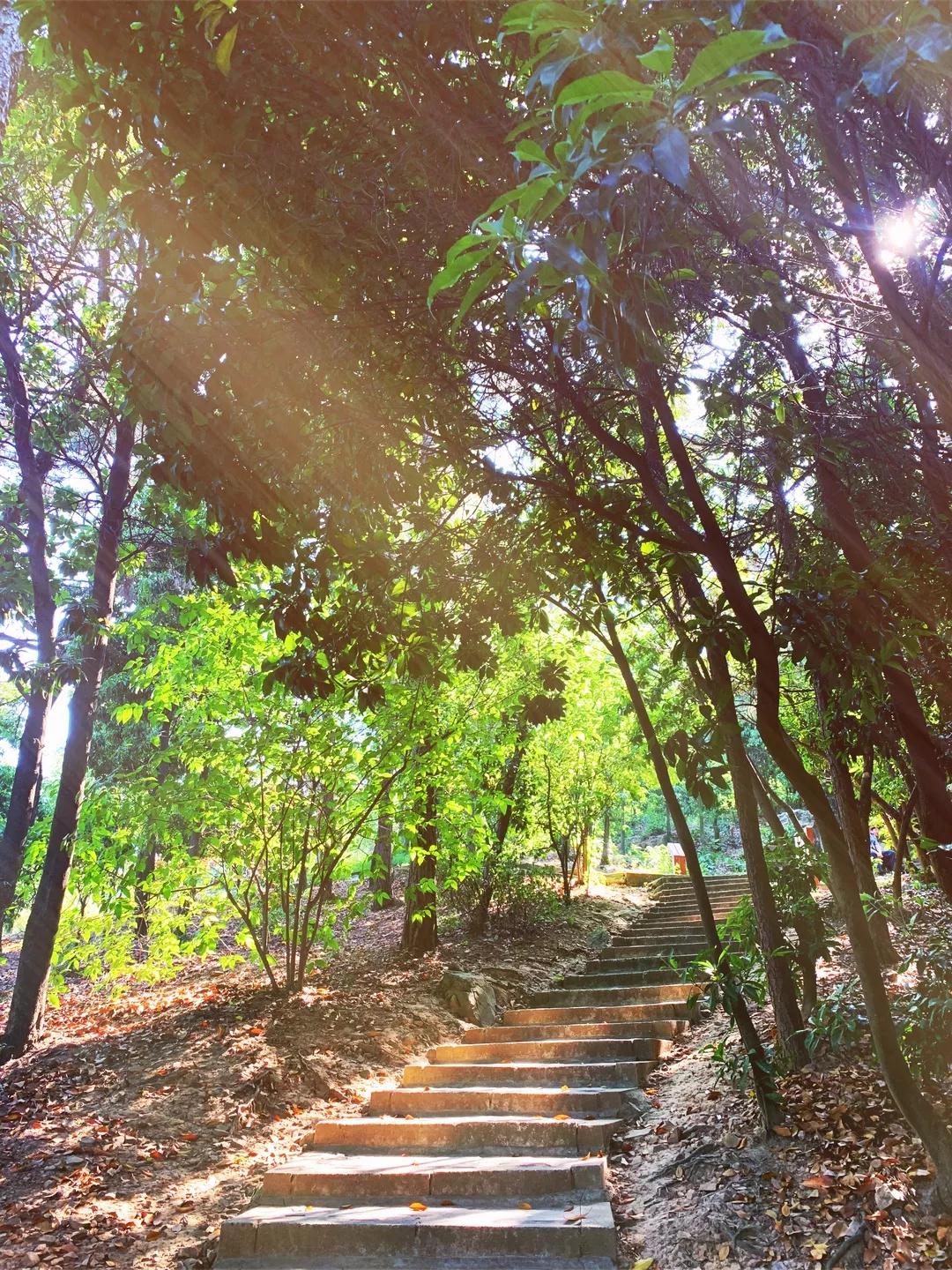 还有一周，去探索光福夏天的秘密吧