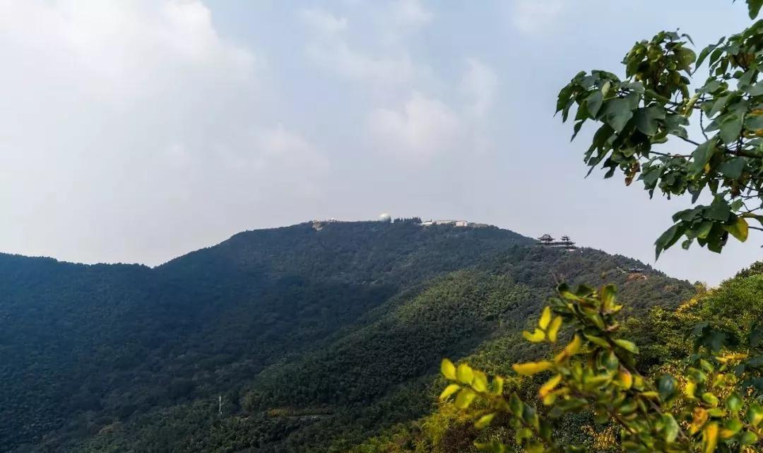 周末有事做 | @所有毕业生们，毕业季别分手，还有毕业旅行呢