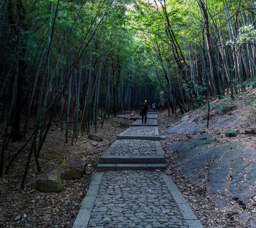周末有事做 | @所有毕业生们，毕业季别分手，还有毕业旅行呢