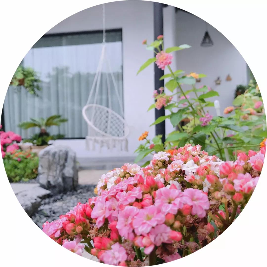 诗意栖居 | 花坊沝，与花香相伴，临湖水而眠