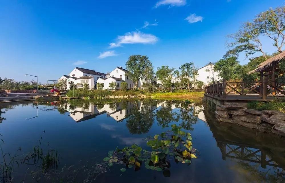 诗意栖居 | 花坊沝，与花香相伴，临湖水而眠