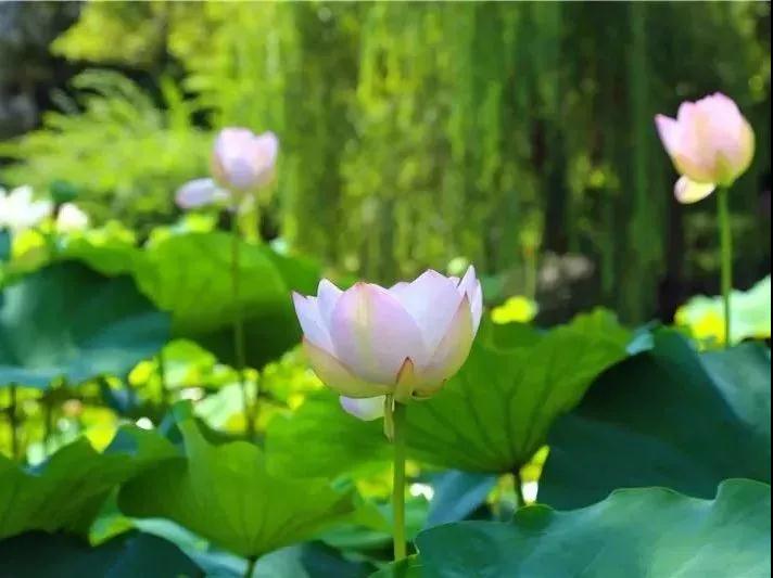 嬉夏狂欢来袭！想嗨，来这里就对了