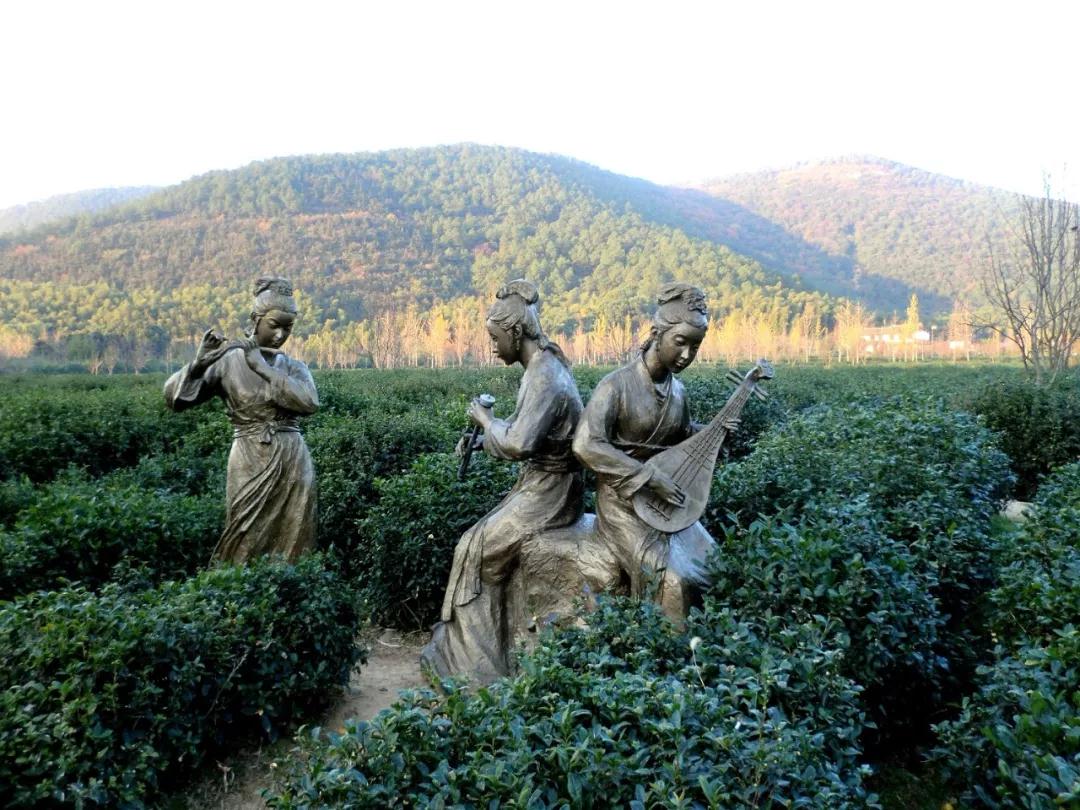 这些旺山“网绿”打卡点，才是夏日首选！