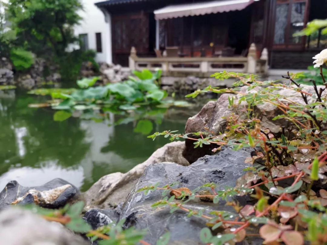 诗意栖居 | 枕太湖，宿在湖光山色里，藏在山水园林画卷中