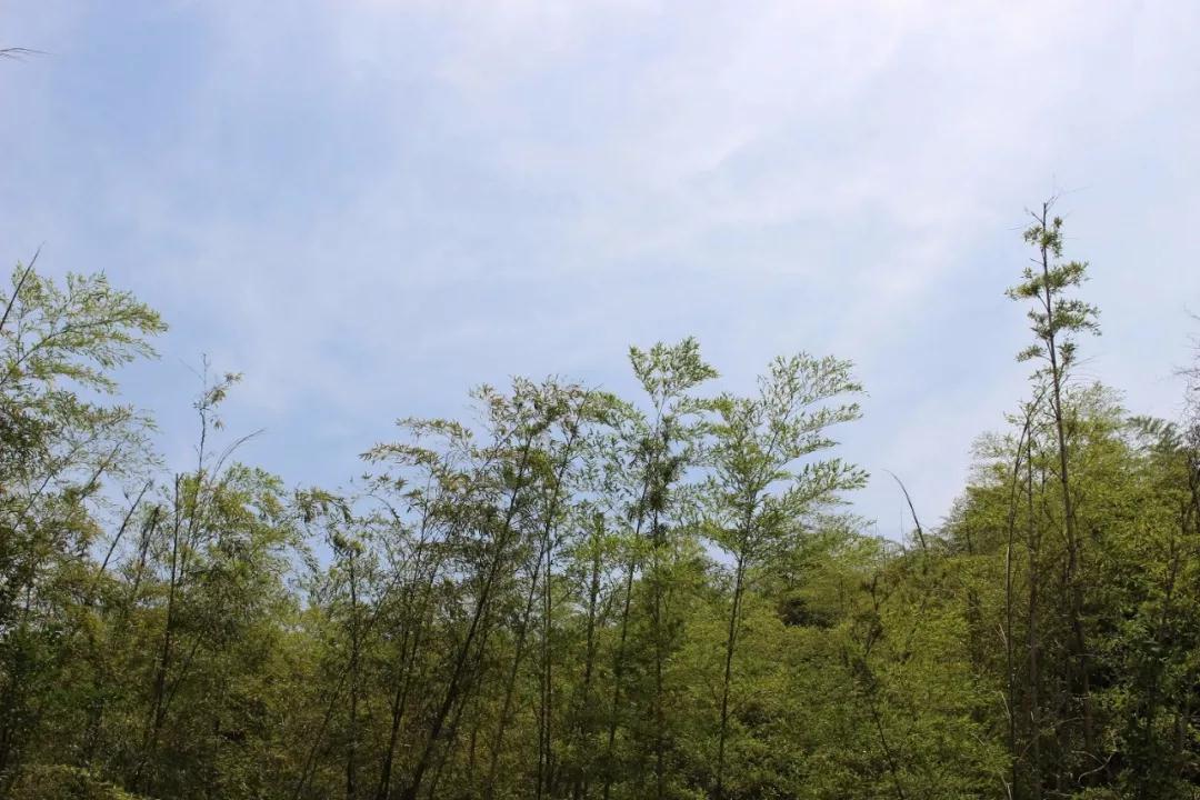 秋天的美，让人想恋爱