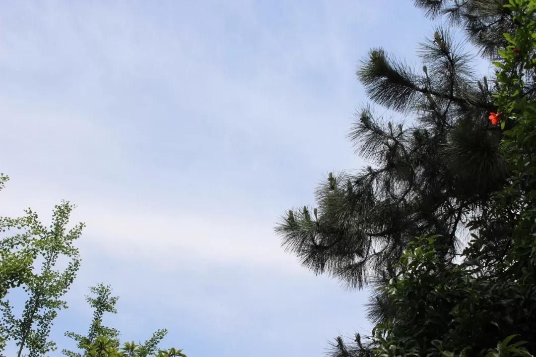 秋天的美，让人想恋爱